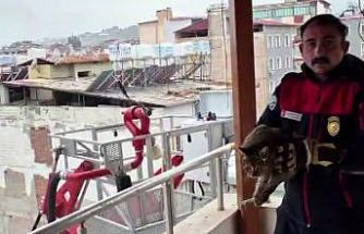 Kedi kurtarma operasyonuyla gönülleri fetheden itfaiye ekibine alkışlı teşekkür