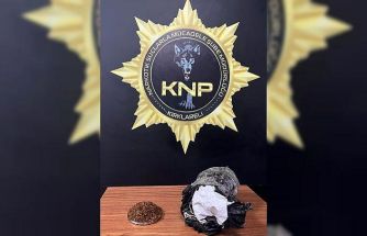 Kırklareli’nde 450 gram bonzai ele geçirildi: 1 kişi tutuklandı