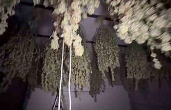 Kırklareli’nde 54 kilogram esrar ele geçirildi: 1 tutuklama