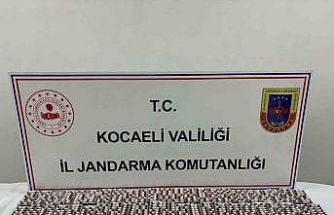 Kocaeli’de 3 kilo bonzai ve 5 bin hap ele geçirildi