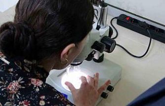 Kolorektal kanser tedavisi için yeni umut