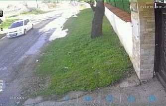 Köpeği çalınan vatandaştan hırsıza çağrı