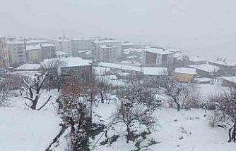 Kulp’ta kar yağışı etkili oldu, ilçe beyaza büründü