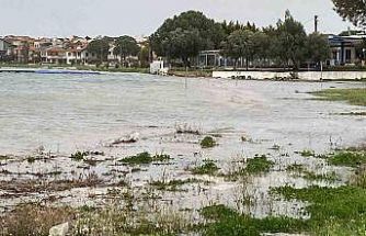 Kuvvetli lodos Ayvalık’ı vurdu