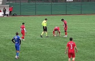 Maç esnasında top çarpan martı, kalp masajıyla hayata döndü