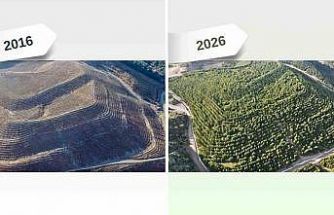 Maden sahaları rehabilitasyonla yeniden yeşeriyor