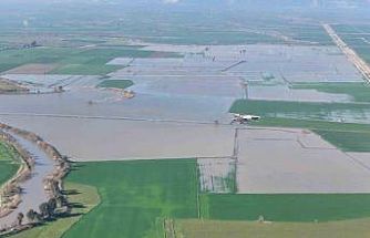 Menderes taştı, yüzlerce dönüm sular altında kaldı