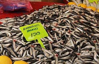 Menteşe pazarında hamsi ucuzladı