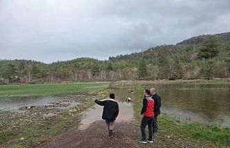 Menteşe’de sağanak yağışların ardından tarım arazilerinde hasar tespit çalışmaları başladı