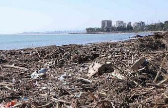Mersin sahillerinde selin denize taşıdığı balçıklar temizleniyor