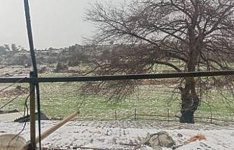 Mersin’de dolu: Ekili alanlar zarar gördü