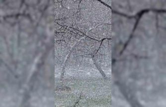 Mudurnu’da lapa lapa kar yağışı etkili oldu