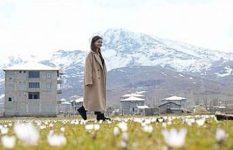 Muş Ovası’nda baharın habercisi çiğdemler açtı