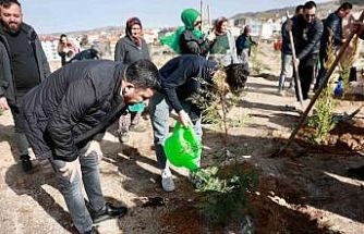 Nevşehir’de binlerce fidan toplarla buluştu