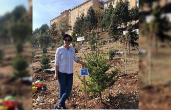 Oğlunun acısına yüreği dayanmadı: Mezar başında kalp krizi geçiren anne hayatını kaybetti