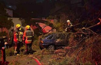 Önce duvarı yıktı sonra otomobilin üzerine devrildi: 2 yaralı