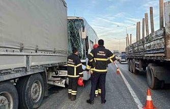 Ordu’da yolcu otobüsü ile tır çarpıştı: 4 yaralı