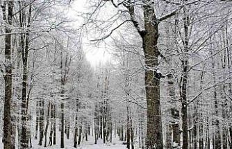 Ordu’nun 15 ilçesinde eğitime kar engeli