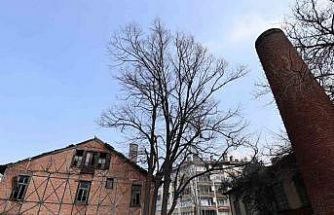 Osmangazi’de Roman Gal ve Arkeo Park projeleri Bursa’nın kültür hayatına kazandırılıyor