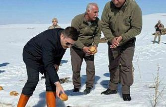 Özalp ilçesinde doğaya yem bırakıldı