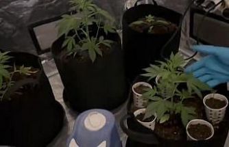 Özel düzenekle uyuşturucu yetiştirilen eve polis baskını