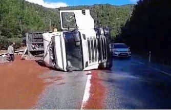 Peyzaj malzemesi yüklü tır devrildi