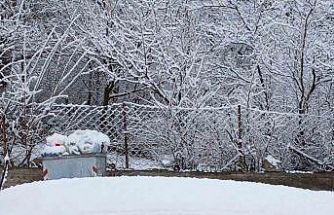 Posof’ta kar sürprizi