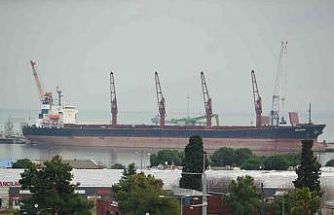 Samsun gümrüğünden en çok meyve ihraç edildi