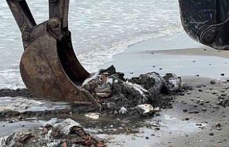 Samsun’da denize atılan çuvallar dolusu inşaat atığı temizlendi, inceleme başlatıldı