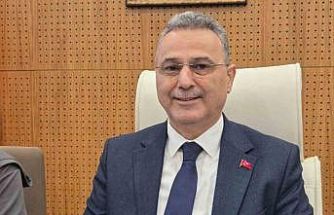 Samsun’da konteynerde bulunan 9 köpekle ilgili rapor açıklandı: "Doğal ölüm"