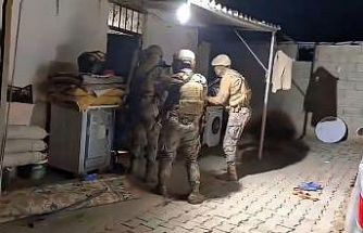 Şanlıurfa’da uyuşturucu operasyonu: 12 tutuklama