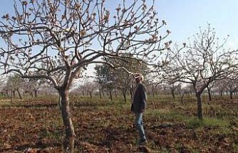 Şanlıurfa’da yoğun kar yağışları çiftçinin yüzünü güldürdü