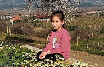 Sarıgöl’de bademler çiçek açtı papatyalar tarlaları süsledi