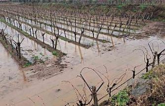 Sarıgöl’de bereketli yağmurlar yüzleri güldürdü