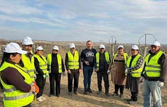 Sarıgöllü ziraat mühendisi Azerbaycan’da bağ budama tekniklerini öğretti