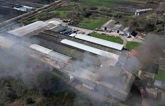 Şekerleme fabrikasında korkutan yangın: Ekipler seferber oldu