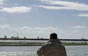 Seyhan Nehri taştı, Tarsus’ta tarım arazileri sular altında kaldı