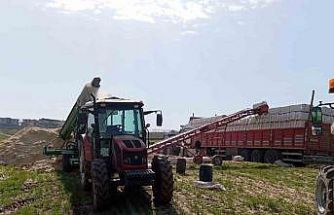 Siirt’te silahla oynayan kişi kazara kendini vurdu