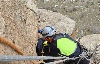 Siirt’te üç gündür mahsur kalan keçi dağcılar tarafından kurtarıldı