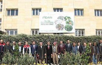 Şırnak’ta 25 bin 200 fidan toprakla buluştu: 810 dekar meyve bahçesi oluyor