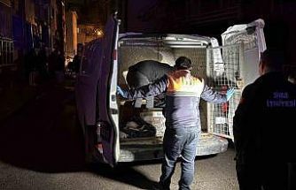 Sivas’ta 2 katlı evde çıkan yangında 26 kedi telef oldu