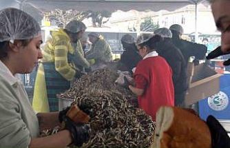 Soğuğa aldırış etmeyen vatandaşlar Balık Festivali’ne koştu