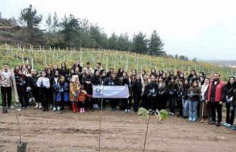 SUBÜ öğrencileri fidanları toprakla buluşturdu