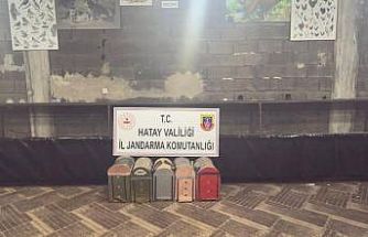 Süs Kanatlı Sokak Hayvanları Koruma Derneği’nde horoz dövüştürerek kumar oynayan 76 kişiye ceza yağdı