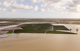 Tarsus Belediyesi sel ve fırtına sonrası zarar tespiti için sahada