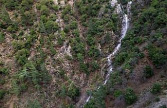 Taşkınlara neden olan yağmurlar kuruyan şelaleyi canlandırdı