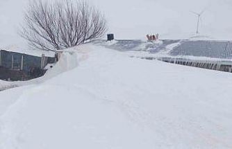 Taşlıçay’da kar yığınları evlerin boyuna ulaştı