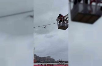 Tellerde mahsur kalan martıyı itfaiye ekipleri kurtardı
