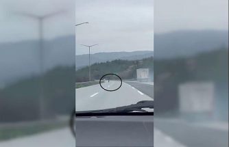 Tırdan fırlayan lastik otobanda yüzlerce metre ilerledi