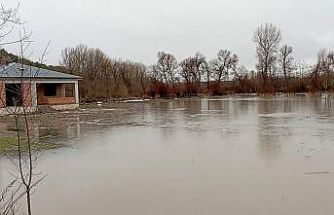 Tokat’ta Çekerek Irmağı taştı, tarım arazileri sular altında kaldı